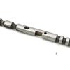 BOBCAT ROD SHIFT
