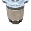CASAPPA HYDRAULIC GEAR MOTOR