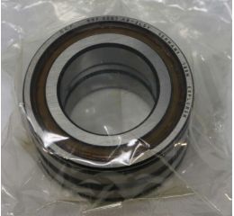 CYLINDRICAL ROLLER BEARING: 2-ROW 62mm OD SEALED
