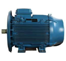 ELECTRIC MOTOR 55kW 460V 63Hz 225S/M-04