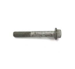 FLANGE SCREW