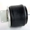 GLOBETECH AIR SPRING