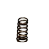 MERITOR SPRING