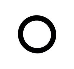 O-RING