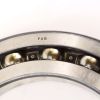 FAG BEARING BALL BEARING - DEEP GROOVE RADIAL 290mm OD