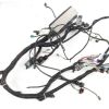 BOBCAT HARNESS