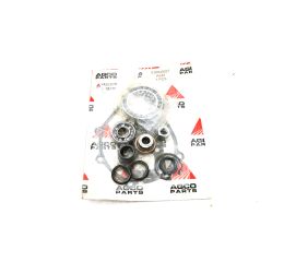 REPAIR KIT - WATER PUMP