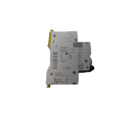 CIRCUIT BREAKER MINIATURE 2 POLE 2A