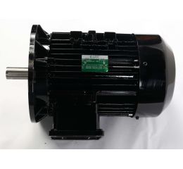 BEVI ELECTRIC MOTOR 5/18kW 400/690//480/830V 50/60