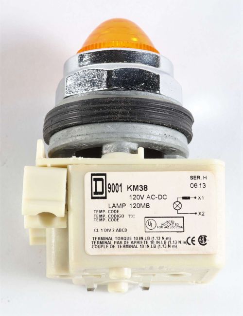 SCHNEIDER ELECTRIC LIGHT  PILOT-FULL VOLTAGE 120V 30MM