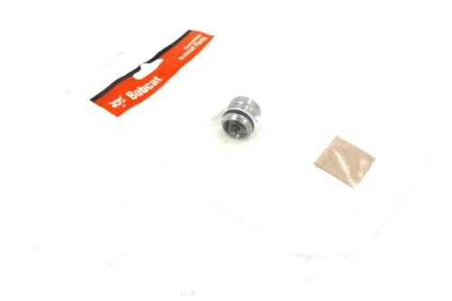 BOBCAT VALVE ASSEMBLY