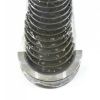 HYUNDAI MAIN BEARING SET FOR 5.9L B ENGINES
