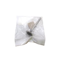 EXHAUST VALVE