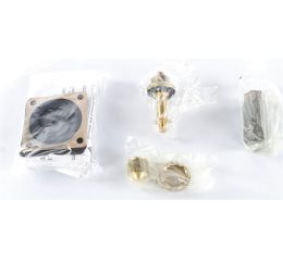 VALVE SEAT REPAIR KIT  1IN FOR V46 V47 V246
