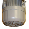 SIEMENS ELECTRIC MOTOR E143406