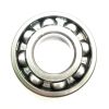 TEREX BALL BEARING - DEEP GROOVE RADIAL 50mm ID 110mm OD