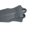 BOBCAT POINT TOOTH