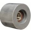DAYCO IDLER PULLEY