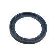MACK SEALING RING