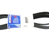 AC DELCO V-RIBBED BELT
