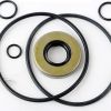 TEREX SEAL KIT
