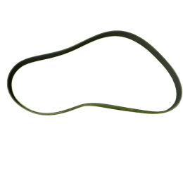 BELT - FAN FRGHT