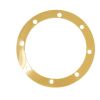 GAST GASKET .004 EPA