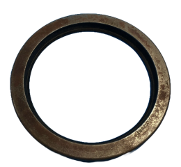 OIL SEAL
