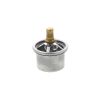 PAI INDUSTRIES CATERPILLAR 2485513 THERMOSTAT