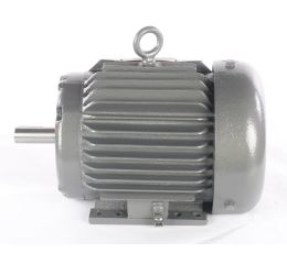 ELECTRIC MOTOR 1 HP 208-230/460V 60Hz 3PH 145T