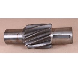 PINION