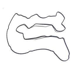 GASKET: ROCKER LEVER HOUSING