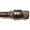 CARLTON TOOTH SHORT