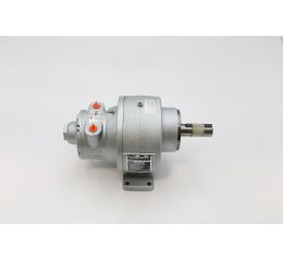 AIR MOTOR WITH GEAR REDUCER