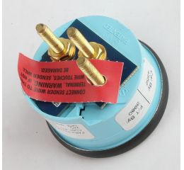 GAUGE FUEL