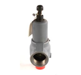 VALVE-SAFETY:1.25NPT  54PSI