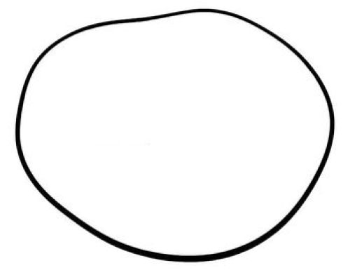 CASE AFTERMARKET O RING