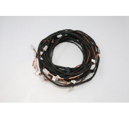 EMERGENCY LIGHTING RH HARNESS