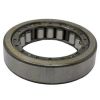 CASE AFTERMARKET BEARING