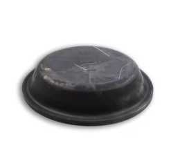 DIAPHRAGM