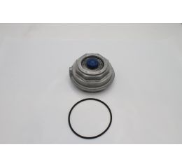 HUB CAP
