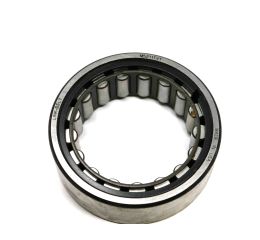 CYLINDRICAL BEARING - OUTER & ROLLERS 100mm OD