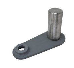 PIN