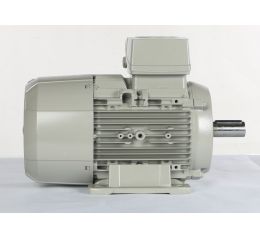 ELECTRIC MOTOR 3.1/2.5kW 400V 50Hz 100L