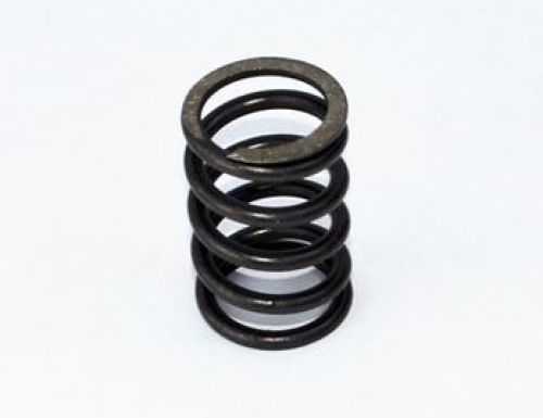 CASE AFTERMARKET SPRING