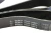 GATES SERPENTINE BELT