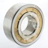 DBT AMERICA CYLINDRICAL ROLLER BEARING 215mm OD