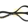 FREIGHTLINER TRUCK SERPENTINE BELT
