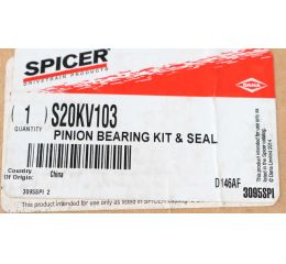 PINION BEARING KIT & SEAL