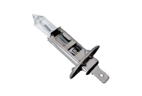 TRIFA LIGHT BULB: TYPE H1 12V 55W HALOGEN